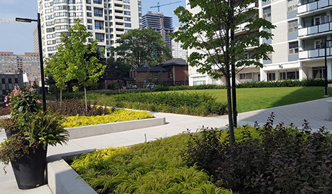 Garage and Lanscaping Renewal – Greenrock Real Estate Advisors
